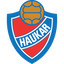 Haukar