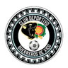 Guerreros logo
