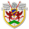 Bryntirion Athletic logo