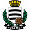 Sora logo