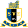 Eintracht Trier logo