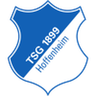 1899 Hoffenheim W logo