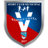 CSM Ramnicu Valcea logo