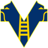 Hellas Verona U20 logo
