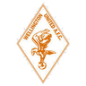 Wellington United logo