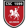 Viitorul Şelimbăr logo