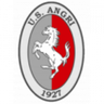 Angri Calcio logo