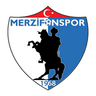 Merzifonspor logo
