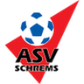 Schrems logo