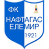 Naftagas logo