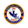 Berekum Chelsea logo