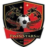 Minnesota Twin Stars logo