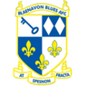 Blaenavon Blues logo