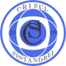 Crişul Sântandrei logo