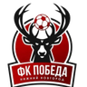 Pobeda Nizhniy Novgorod logo