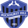Buckhurst Hill logo