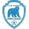 Unirea Bascov logo