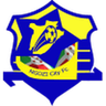 Ngozi City logo
