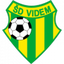 Videm