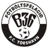 B36 II logo
