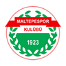 Maltepespor logo