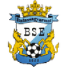 Balassagyarmat VSE logo