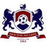 Newton Aycliffe logo