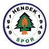 Hendek Spor logo