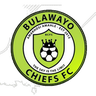 Bulawayo Chiefs logo