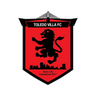 Toledo Villa logo
