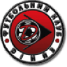 Dinaz Vyshhorod logo