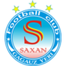 Saxan logo