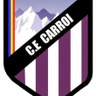 Carroi logo