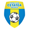 Cetatea Suceava logo
