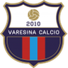 Varesina logo