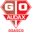 Gremio Osasco Audax