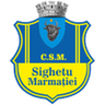 Sighetu Marmaţiei logo
