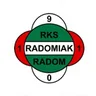 Radomiak Radom logo