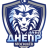 Dnepr Mogilev II logo
