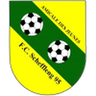 Schifflange logo