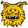 Ilves III logo