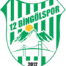 12 Bingölspor logo