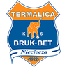 Nieciecza logo