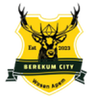 Berekum City logo