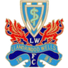 Llandrindod Wells logo