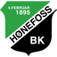 Hønefoss