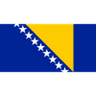 Bosnia & Herzegovina logo
