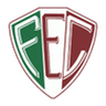 Fluminense PI logo