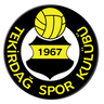 Tekirdağspor logo