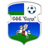 FC Slutsk logo